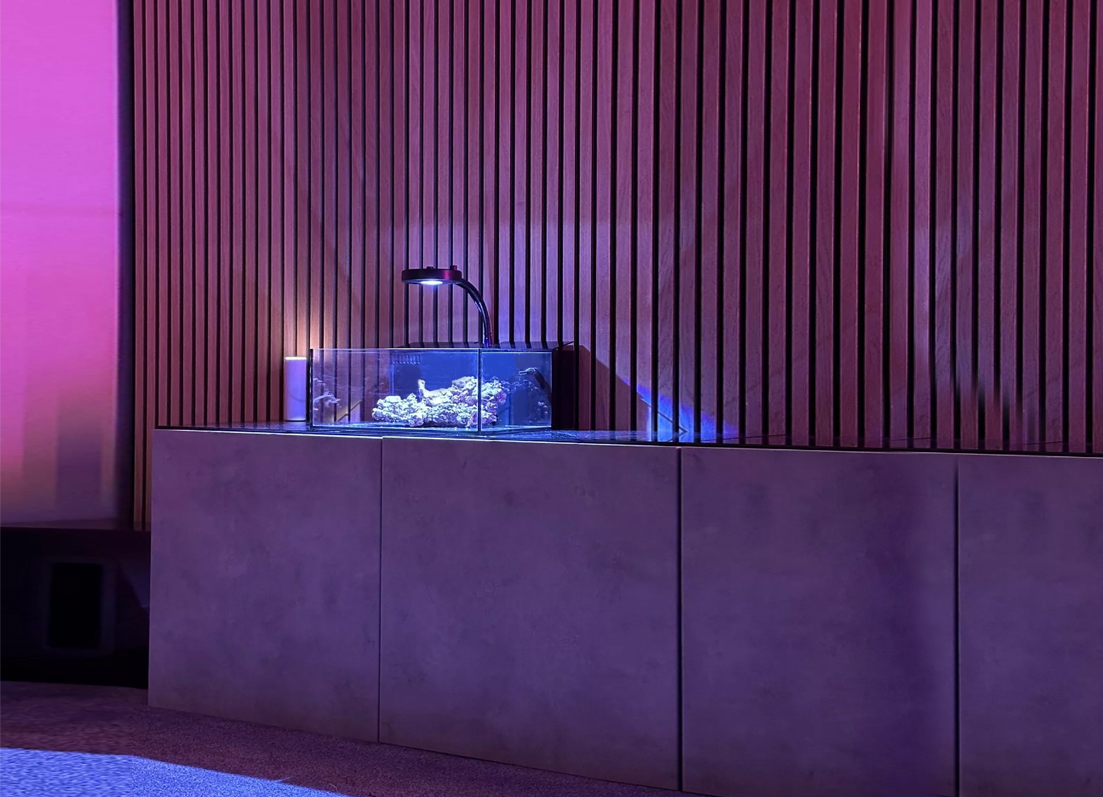 reef casa pico aquarium